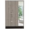 Tuhome Bolton 120 Mirrored Armoire, 2 Door Cabinet, 2 Drawers, Door W/ Mirror, Rods, Black/Light Gray CWZ5950 - alternate 7
